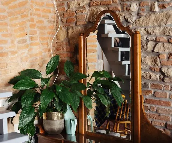 Apor * Клуж-Напока